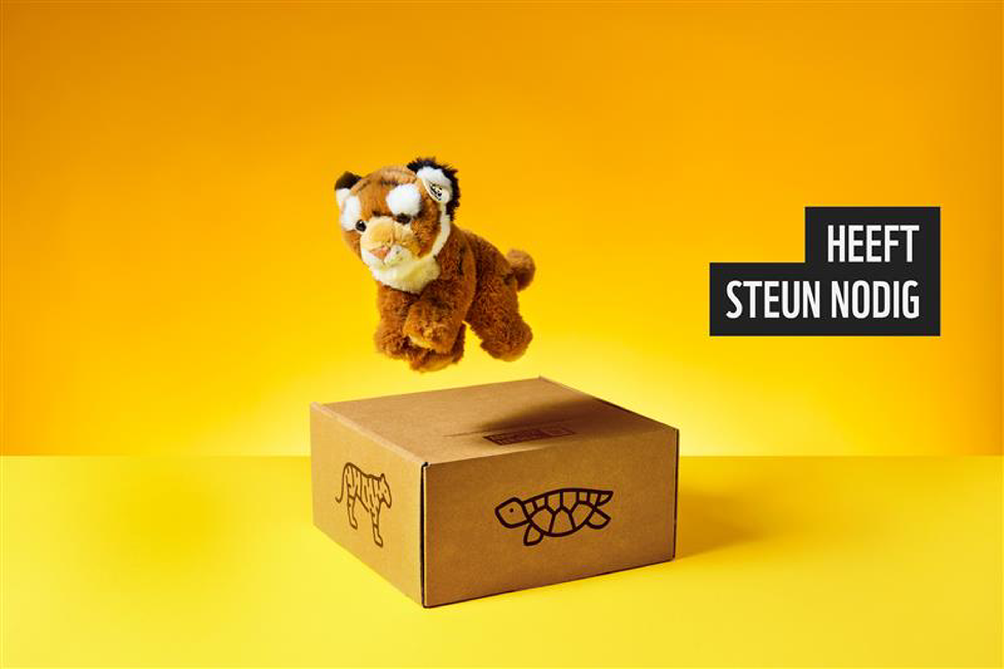 Tijger