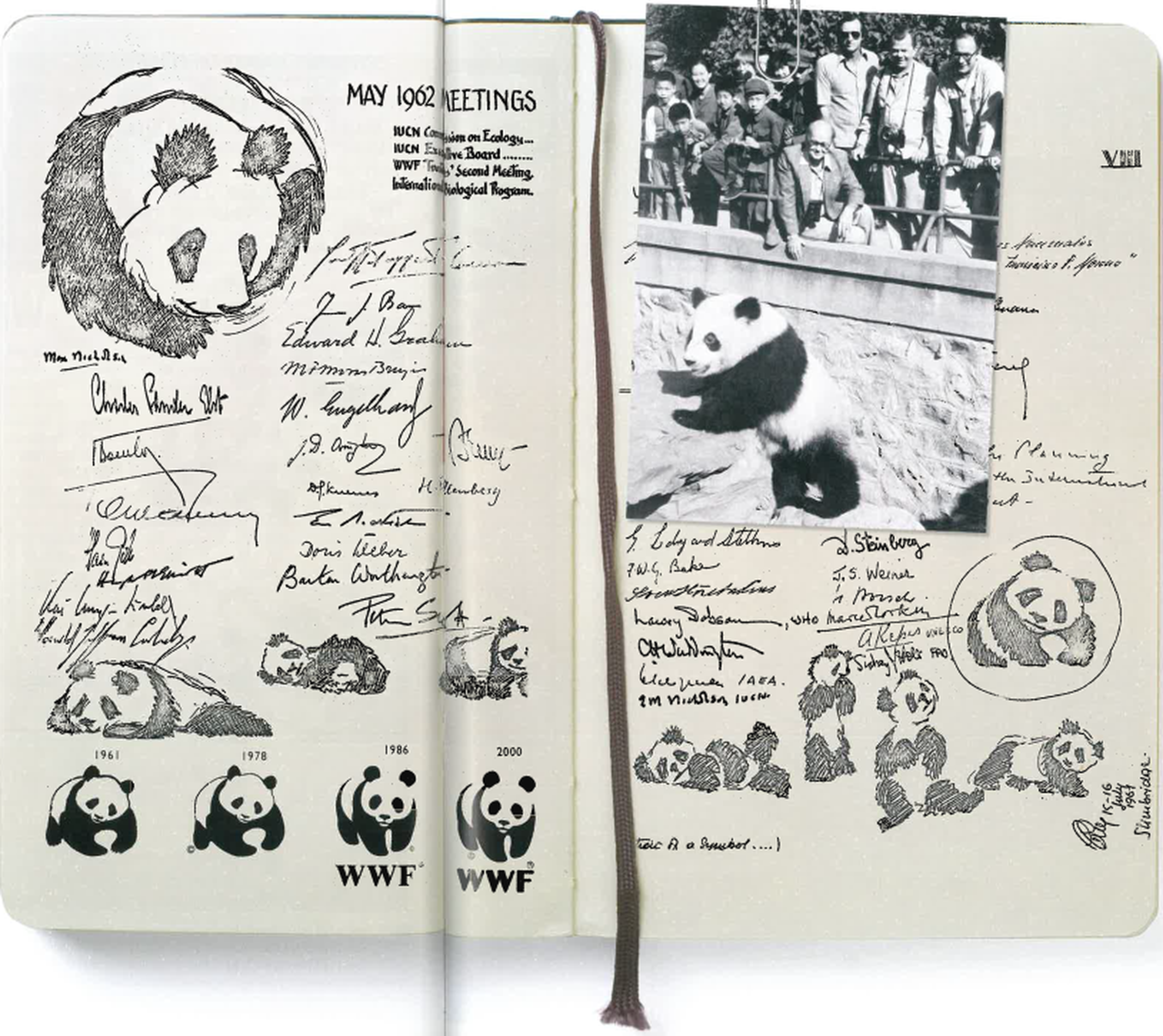 Tekeningen van de ontwikkeling van het logo van WWF
