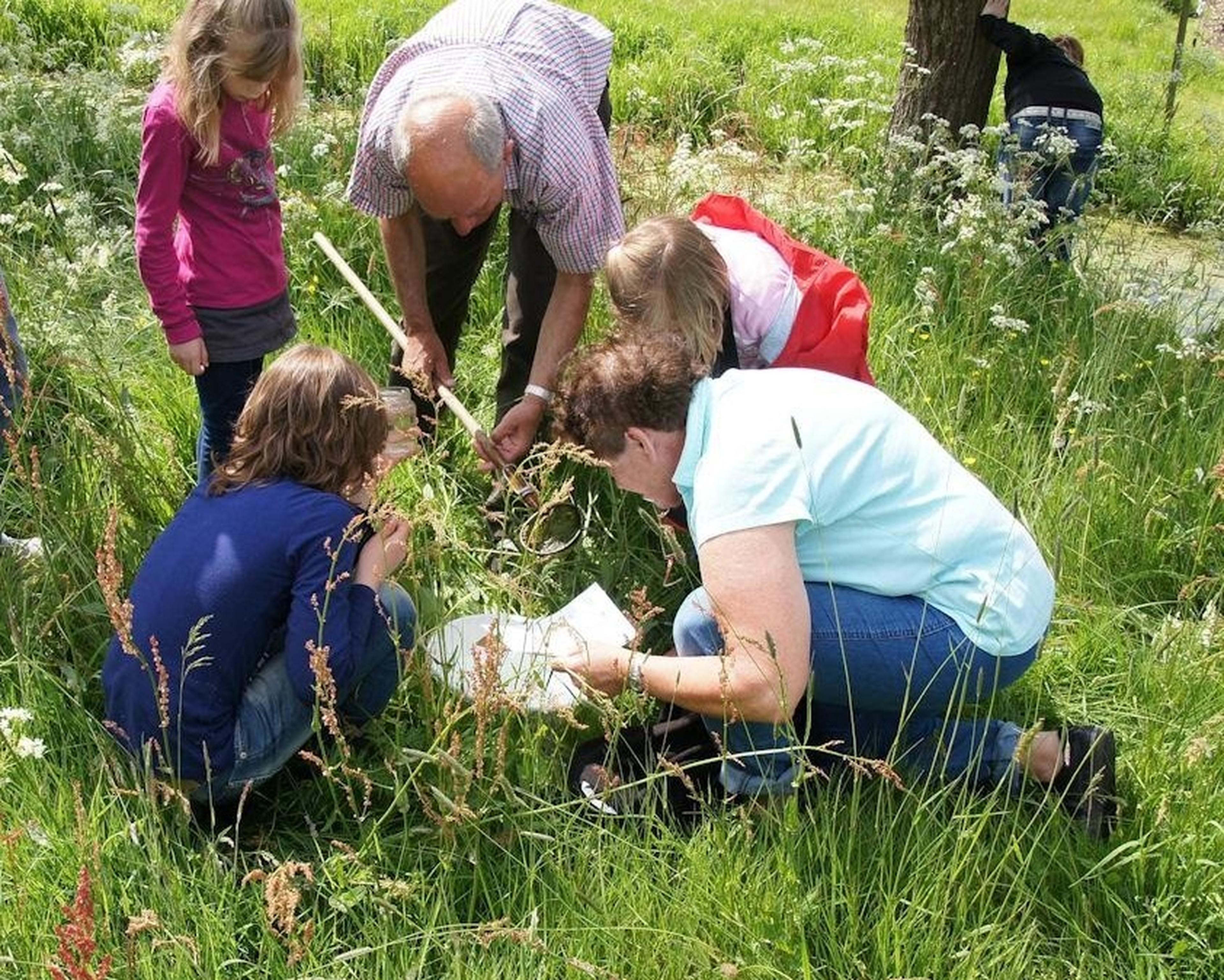 Activiteit Rivierenland