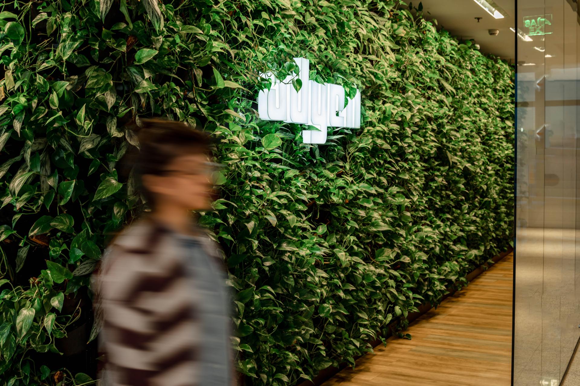 Een groene muur in een kantoor van Adyen