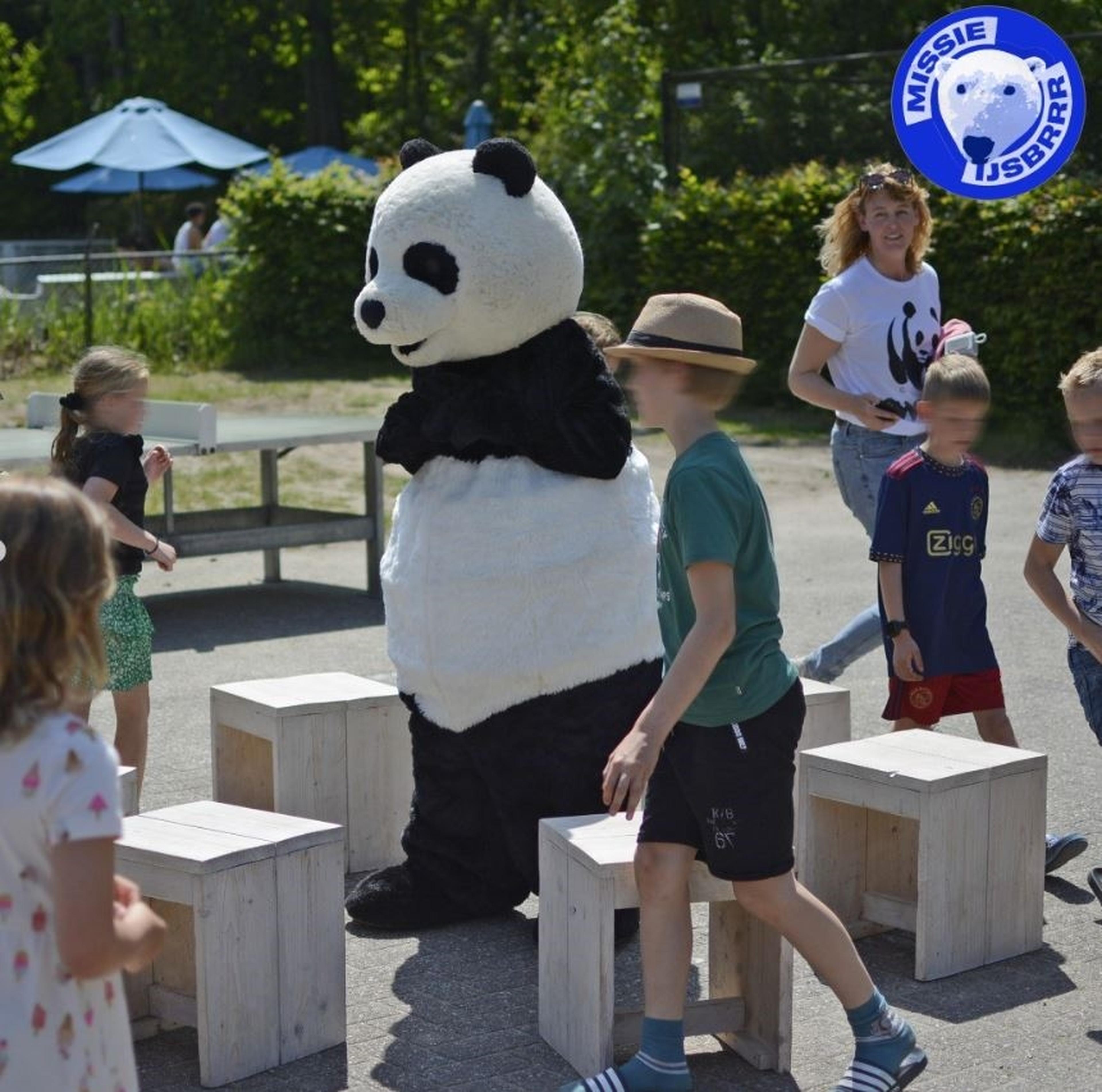 Panda tijdens spel in de Veluwe