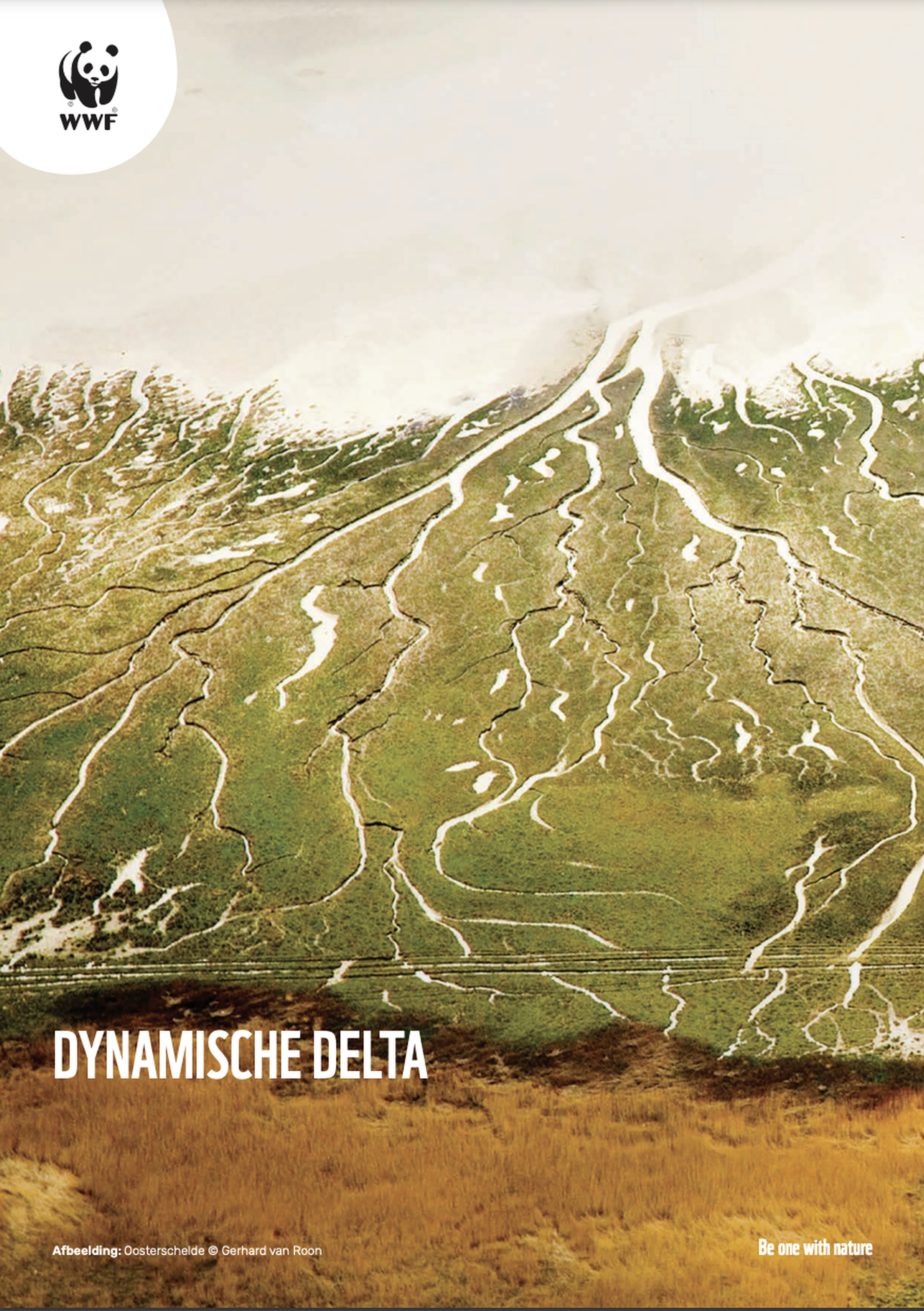 Dynamische Delta