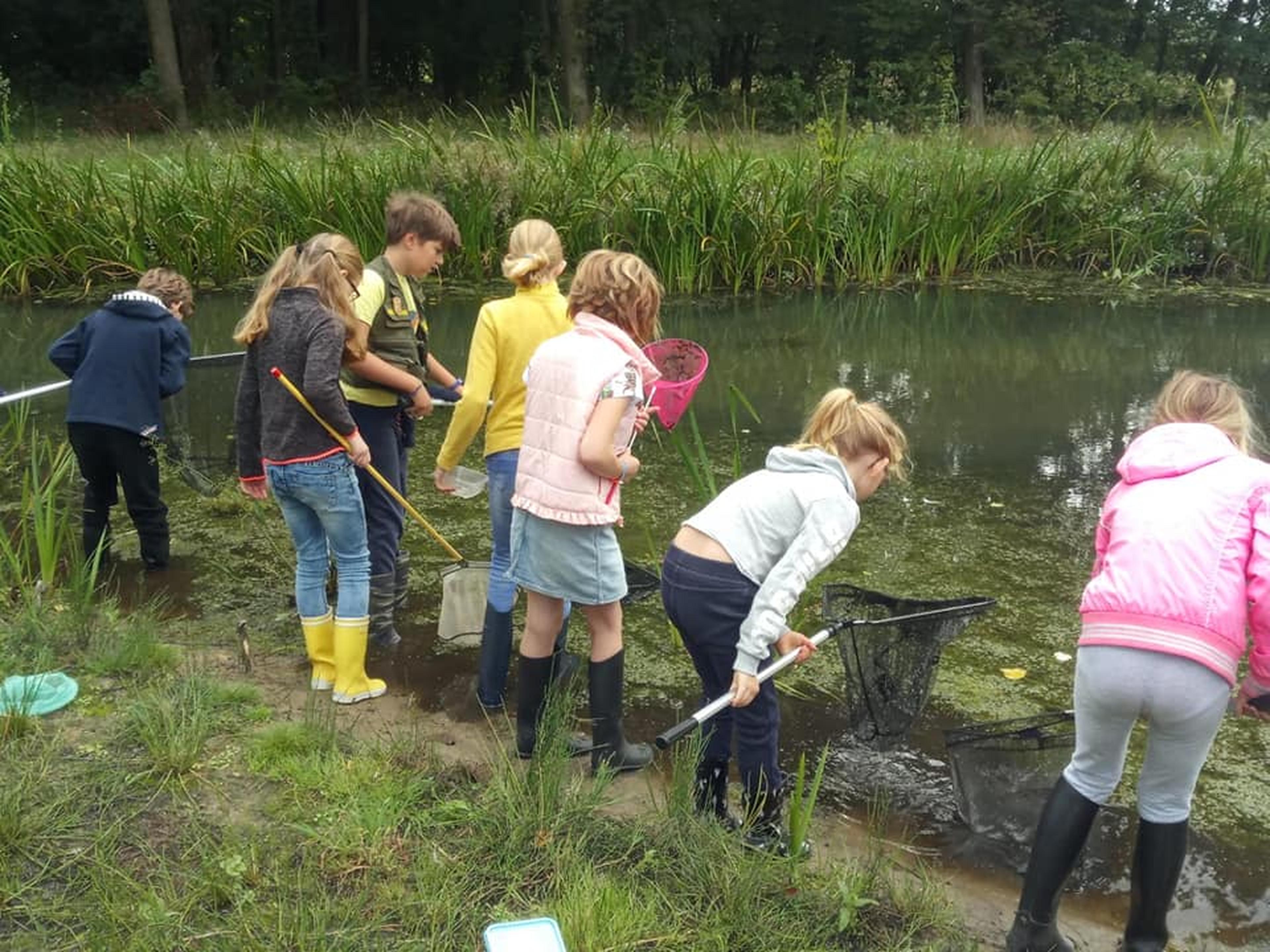 Waterbeestjes