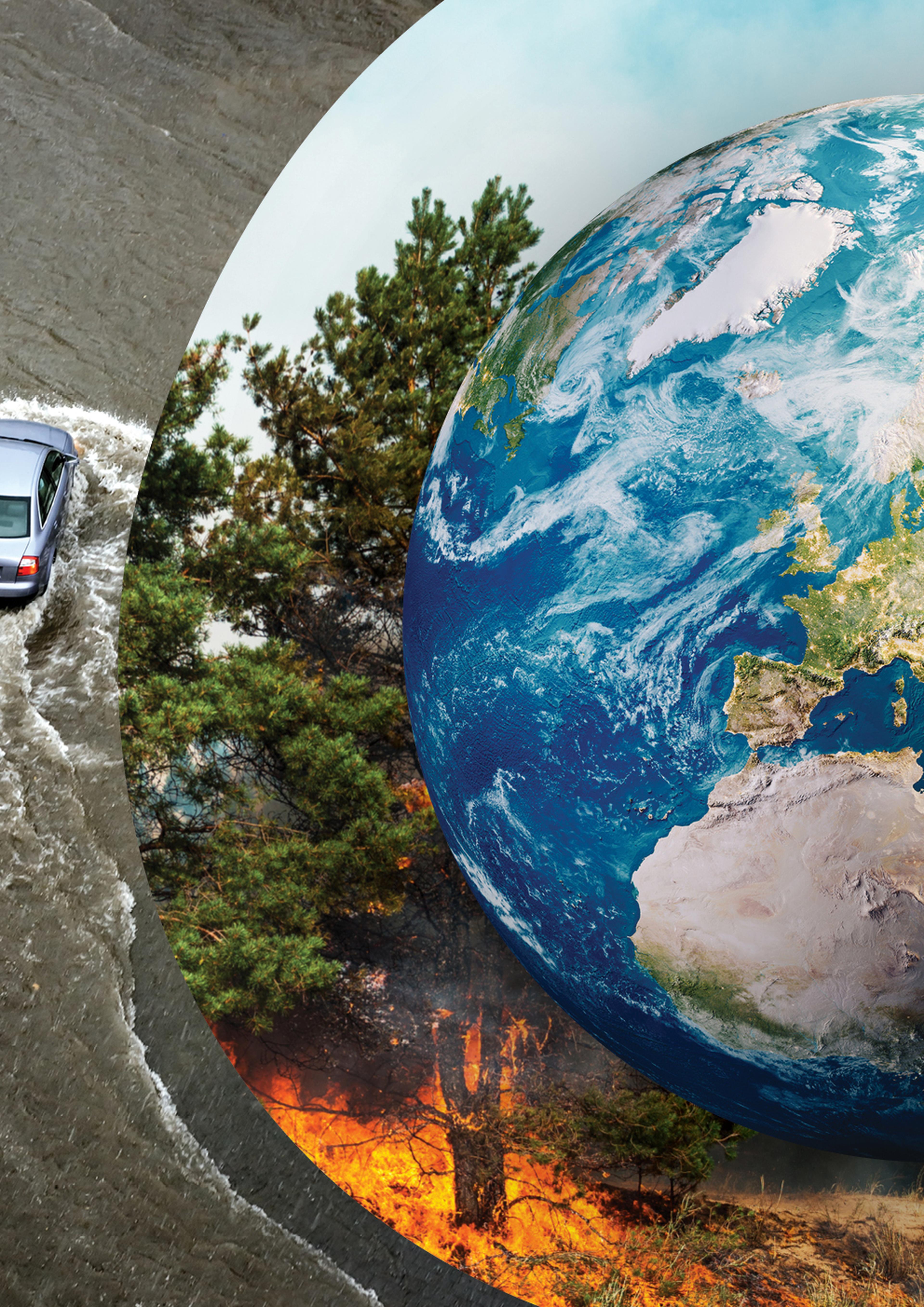 NL samenvatting Living Planet Report 2024