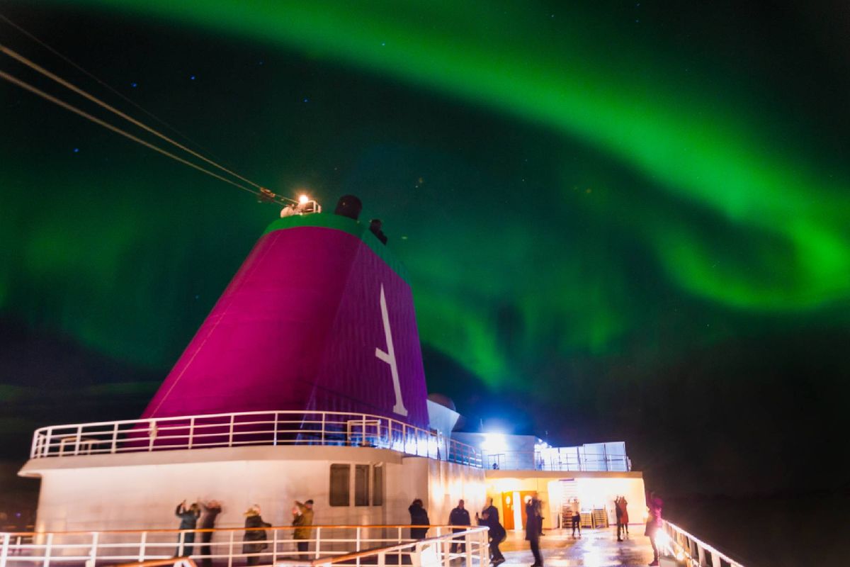 Arctic Adventures & Northern Lights Explorer