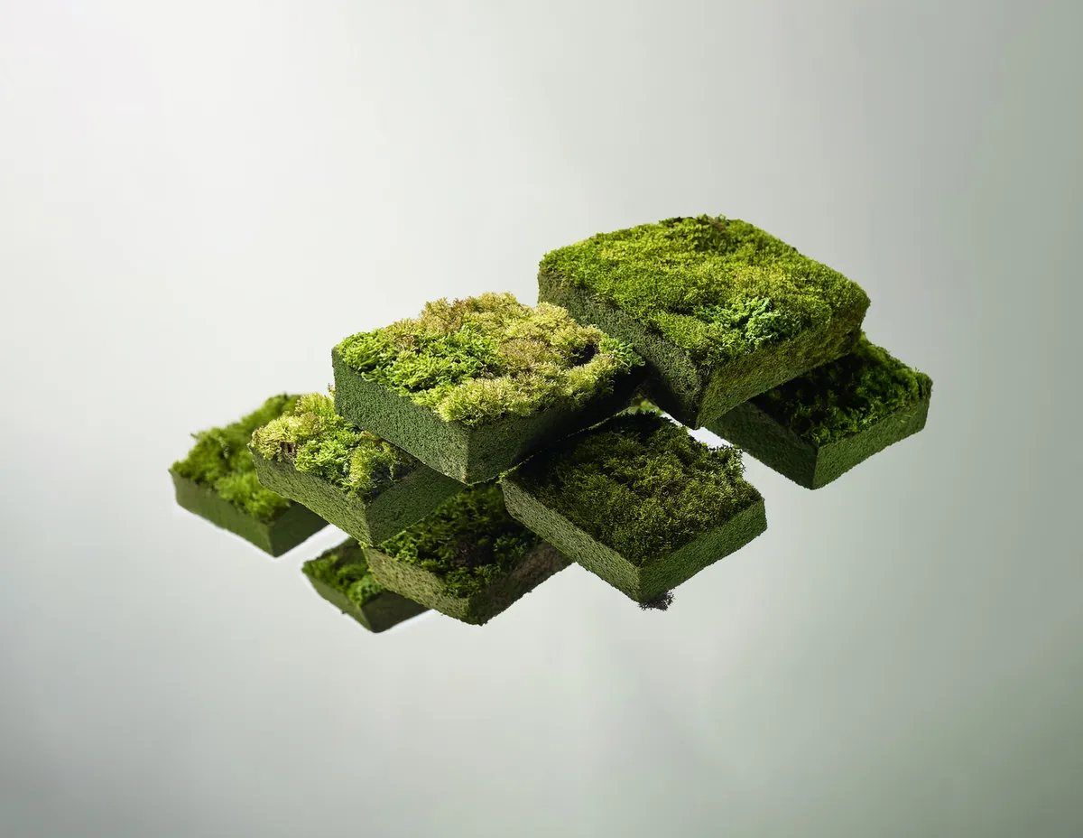 Floating moss-covered cubes arranged in a geometric pattern against a light gray background.