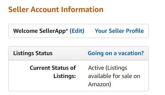 Amazon Vacation Mode