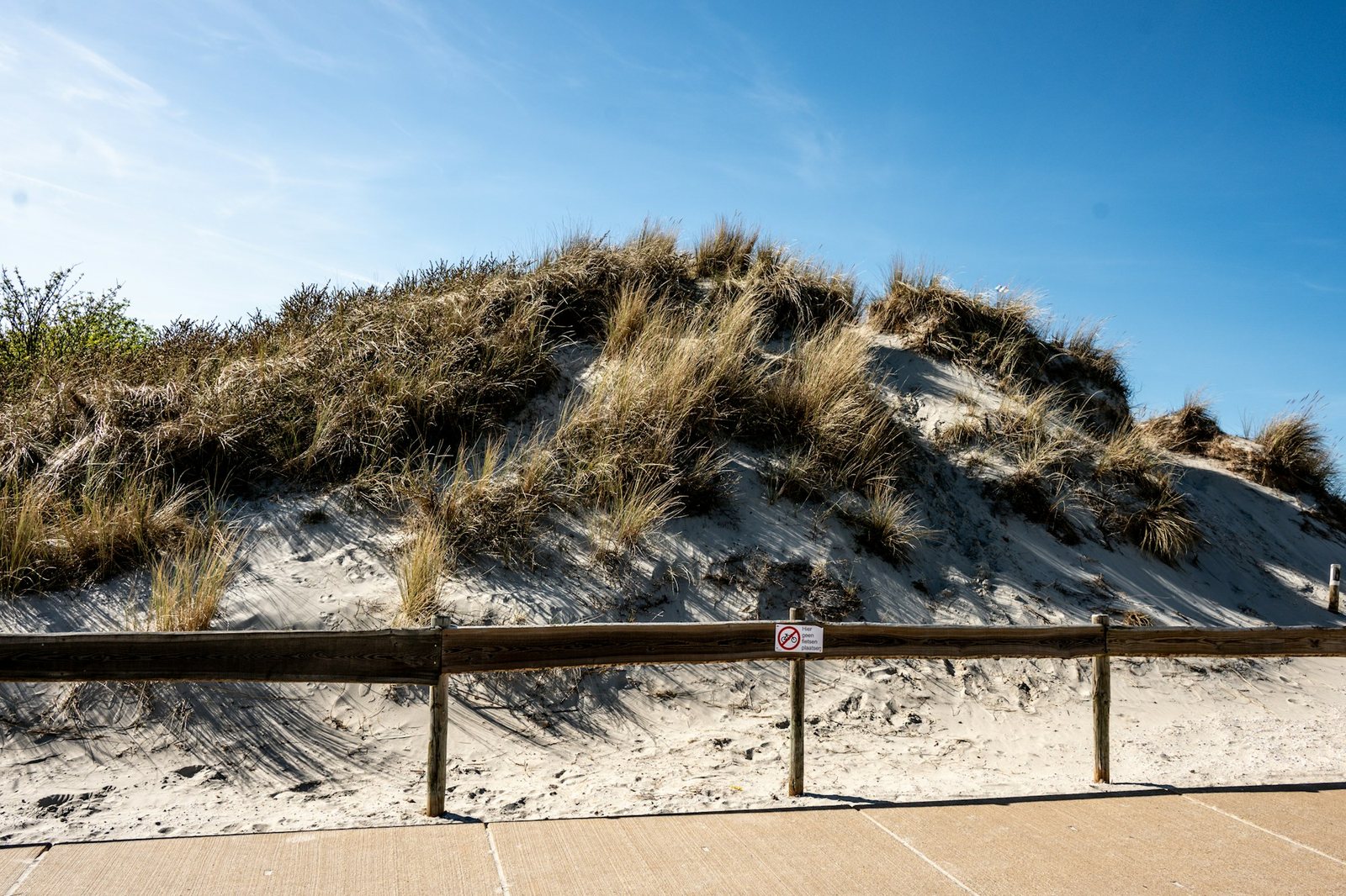 A grassy dune behind a weathered wooden fence.