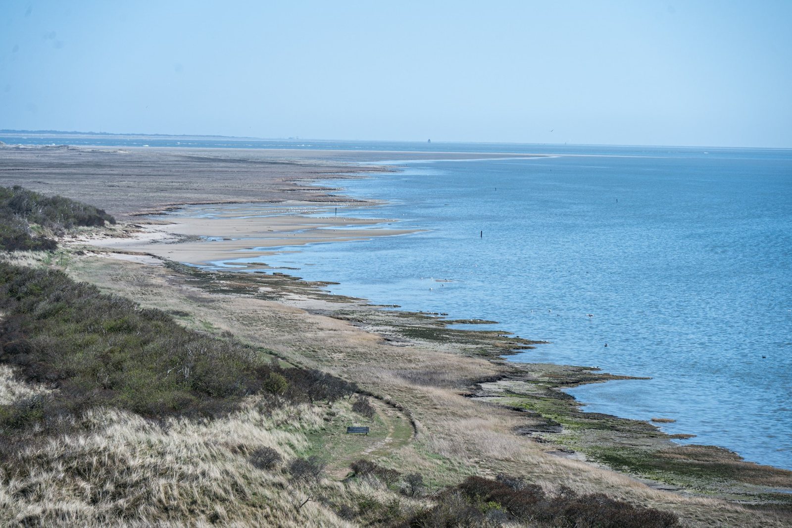 The coastline curving away below grassy bluffs.