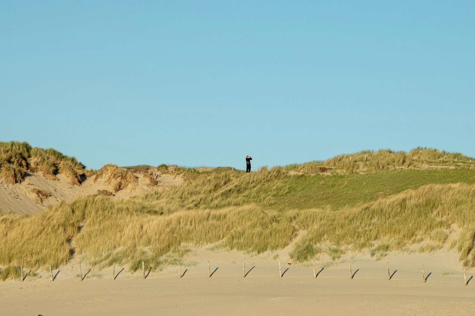 Pale dunes and beach grass in soft evening light.