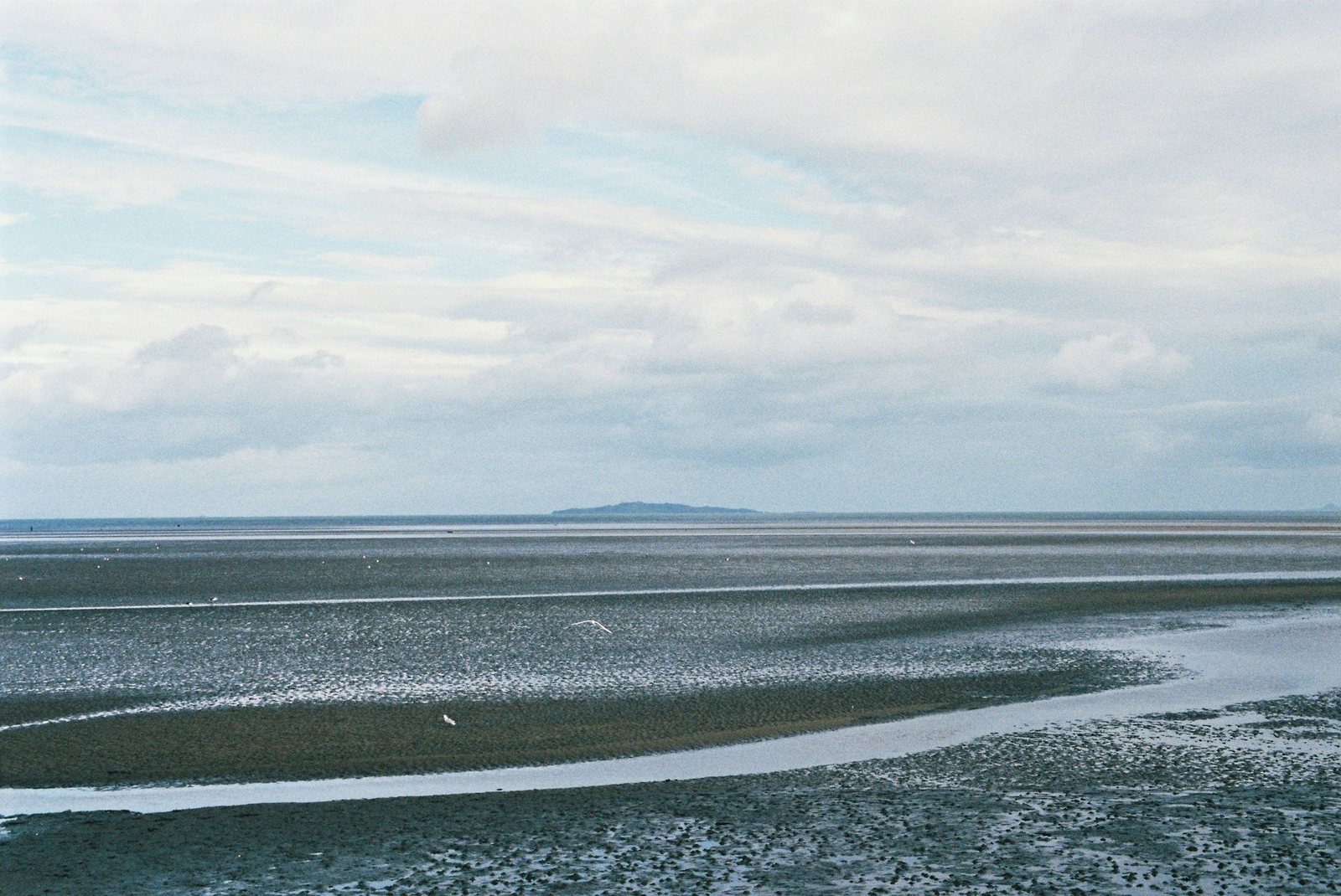 A quiet tidal flat under a soft grey sky.