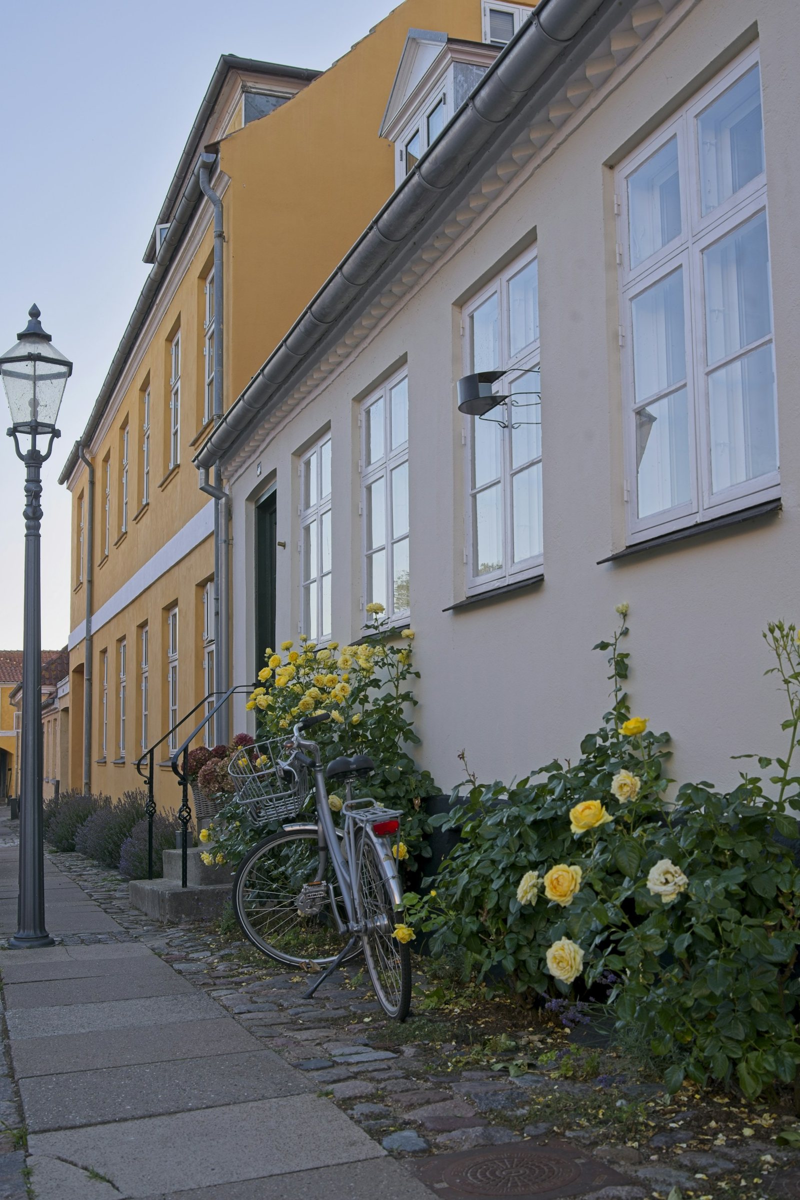 A bicycle and roses along a quiet village street.