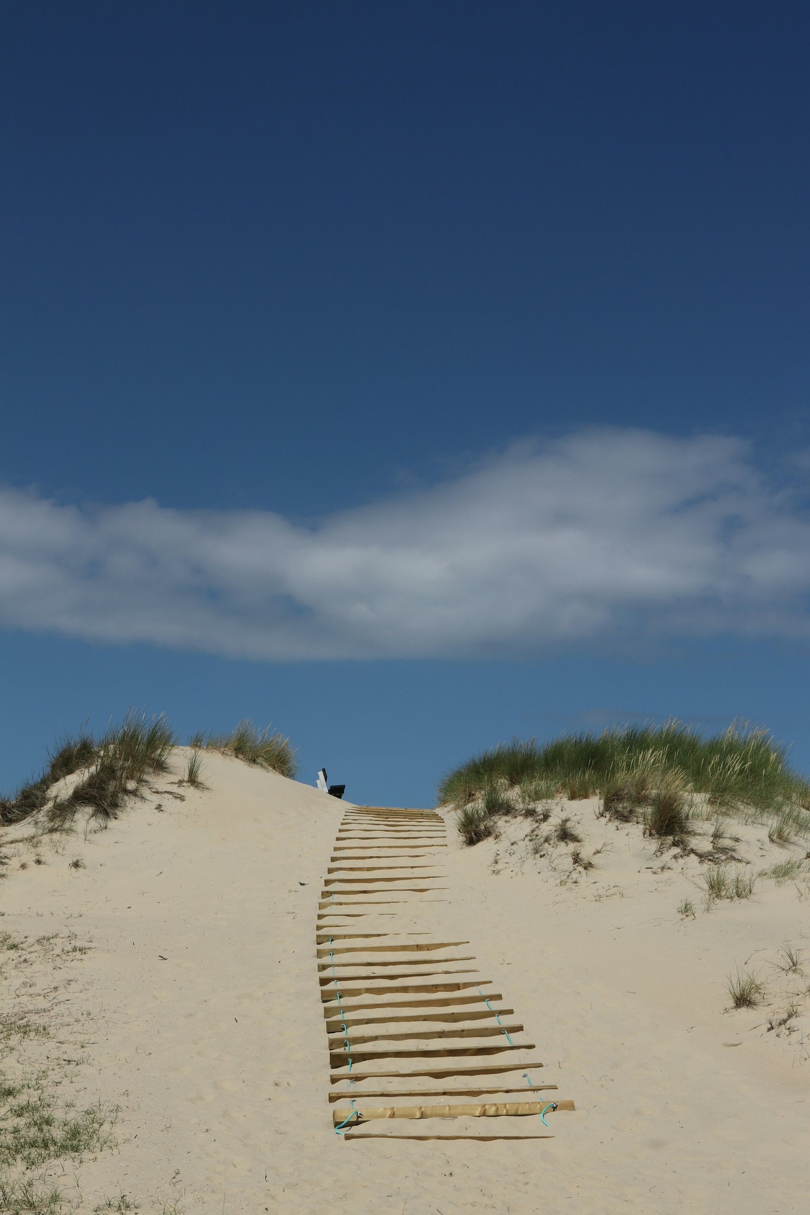 Wooden steps climbing a sand dune under a wide sky.