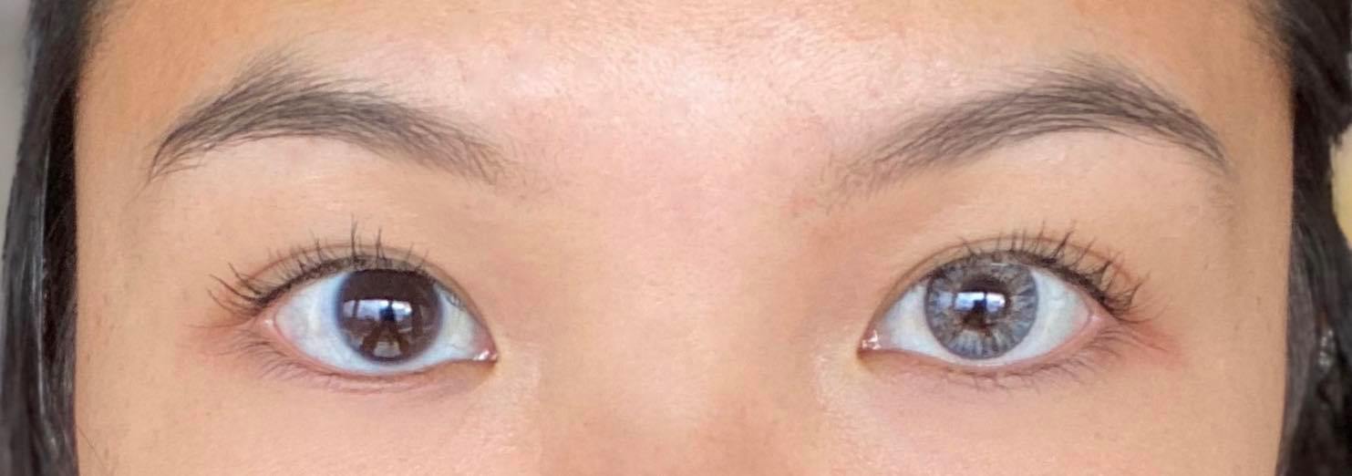 Freshlook Colorblends Gray