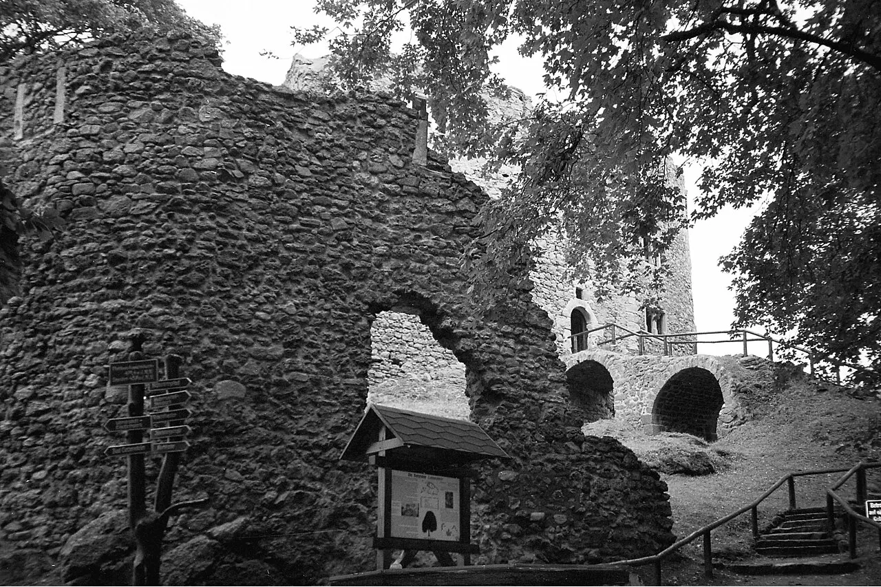 View of Burgruine Bad Liebenstein