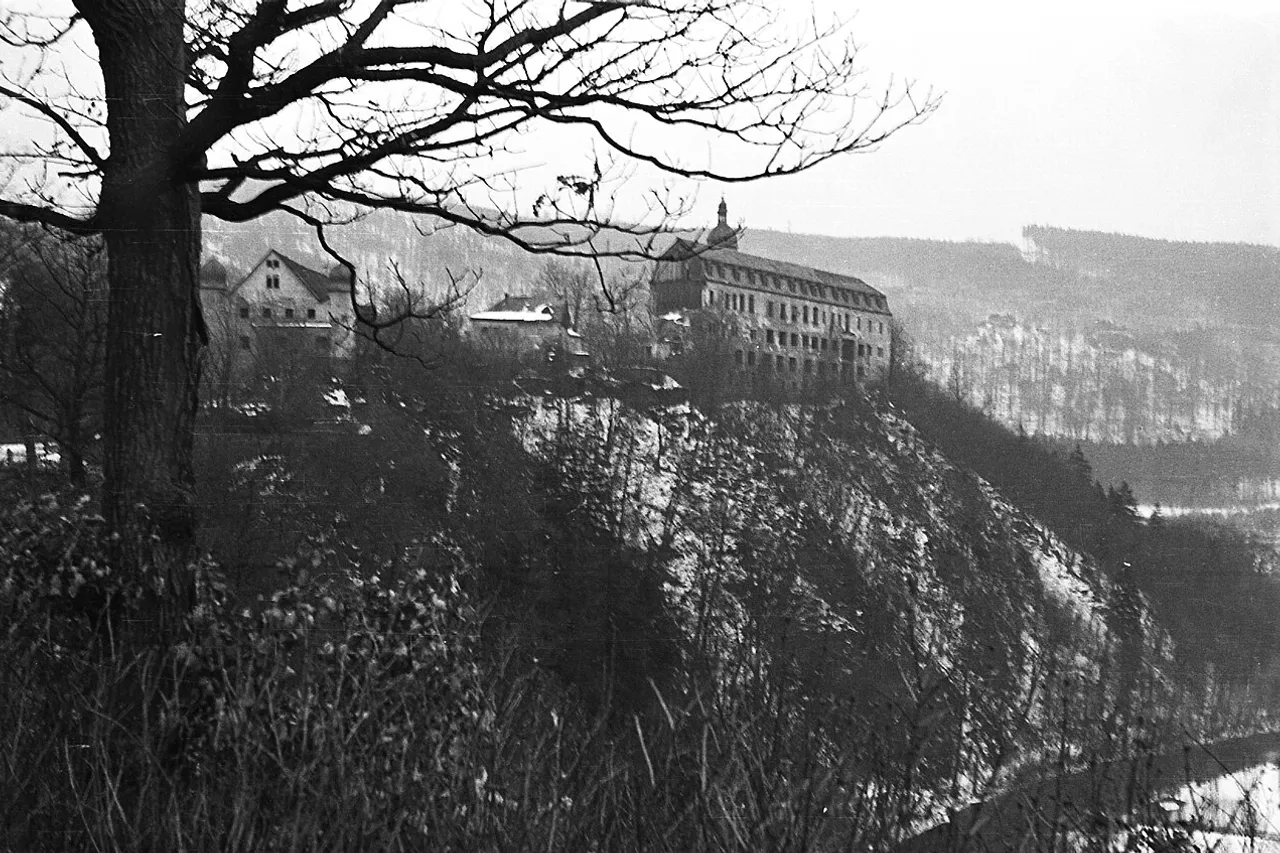 View of Schloss Schwarzburg