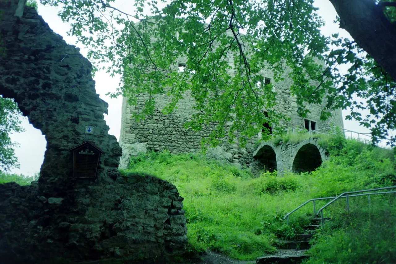 View of Burgruine Bad Liebenstein