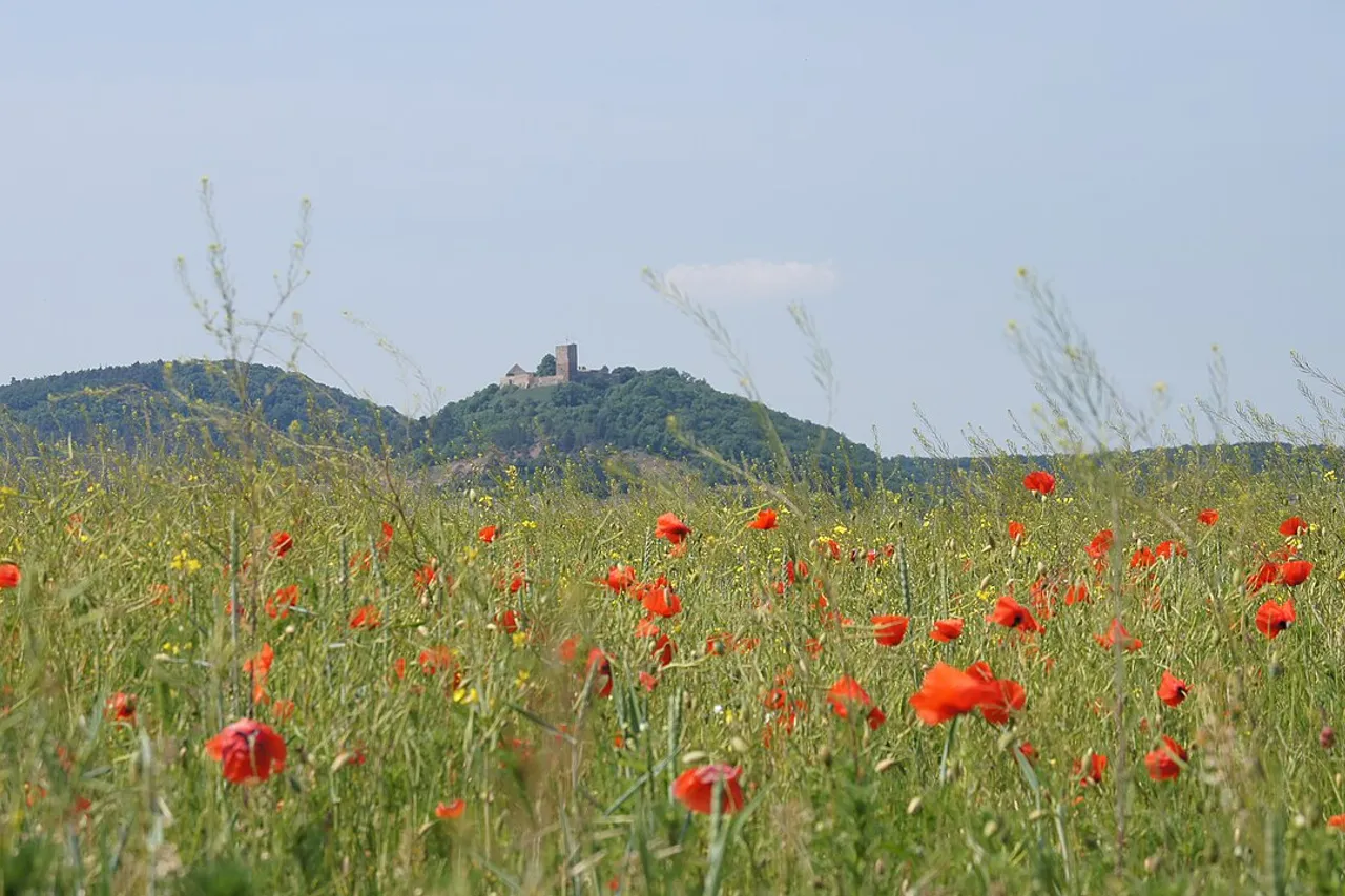 View of Burgruine Gleichen