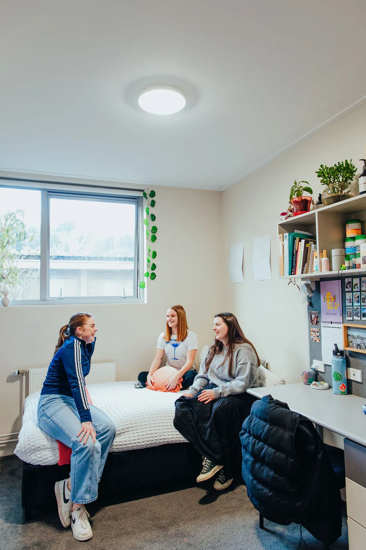 Three students chatting in a single study bedroom