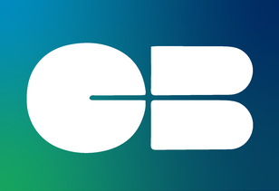 Carte Bancaire Logo