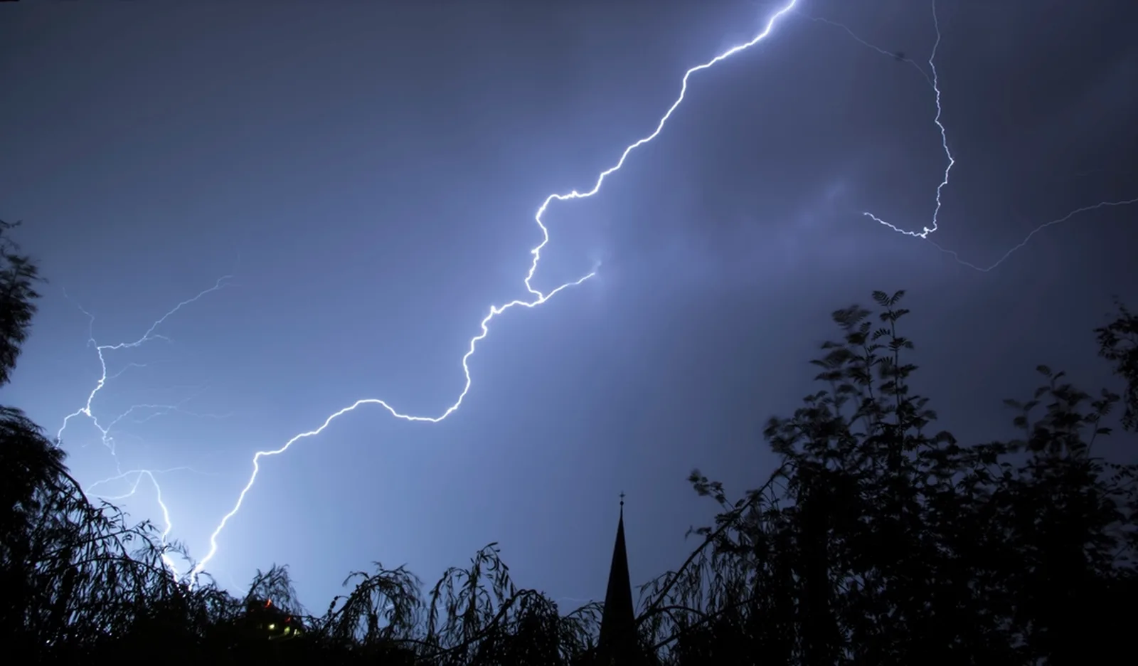 Gewitter mit Blitzen über Bäumen