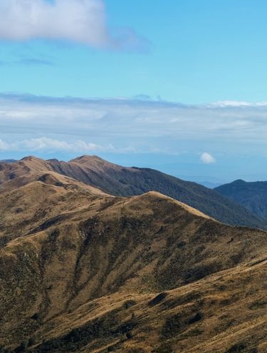 Panoramic view of golden mountain ridges under a blue sky with the ocean in the distance
