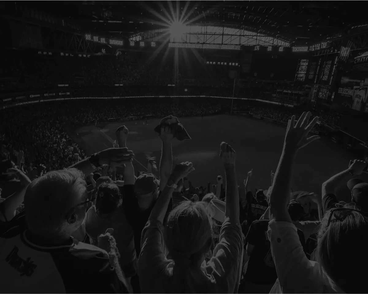 Crowd at a sports event