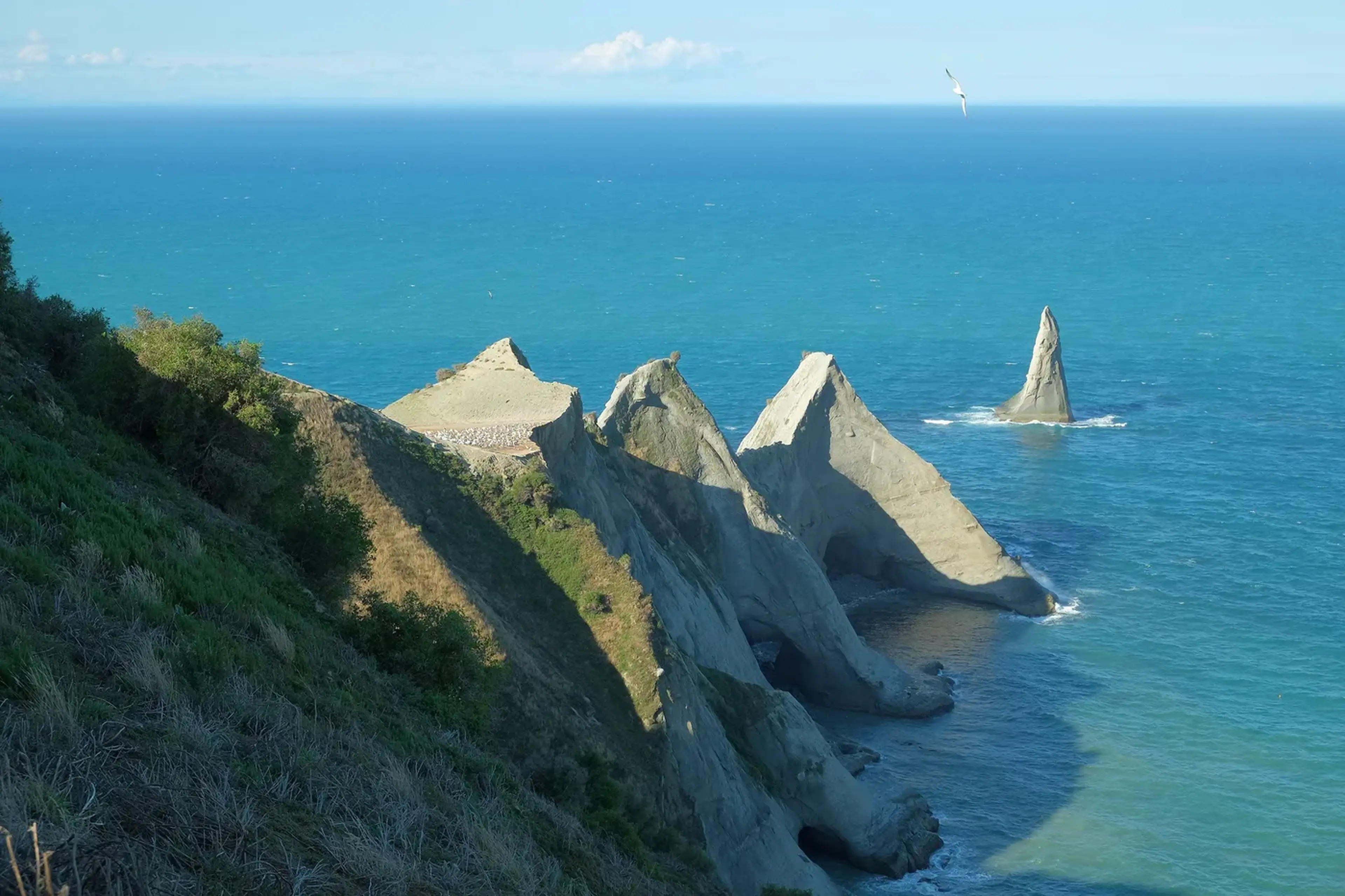The cliffs at Cape Kidnappers in Hawke Bay, New Zealand