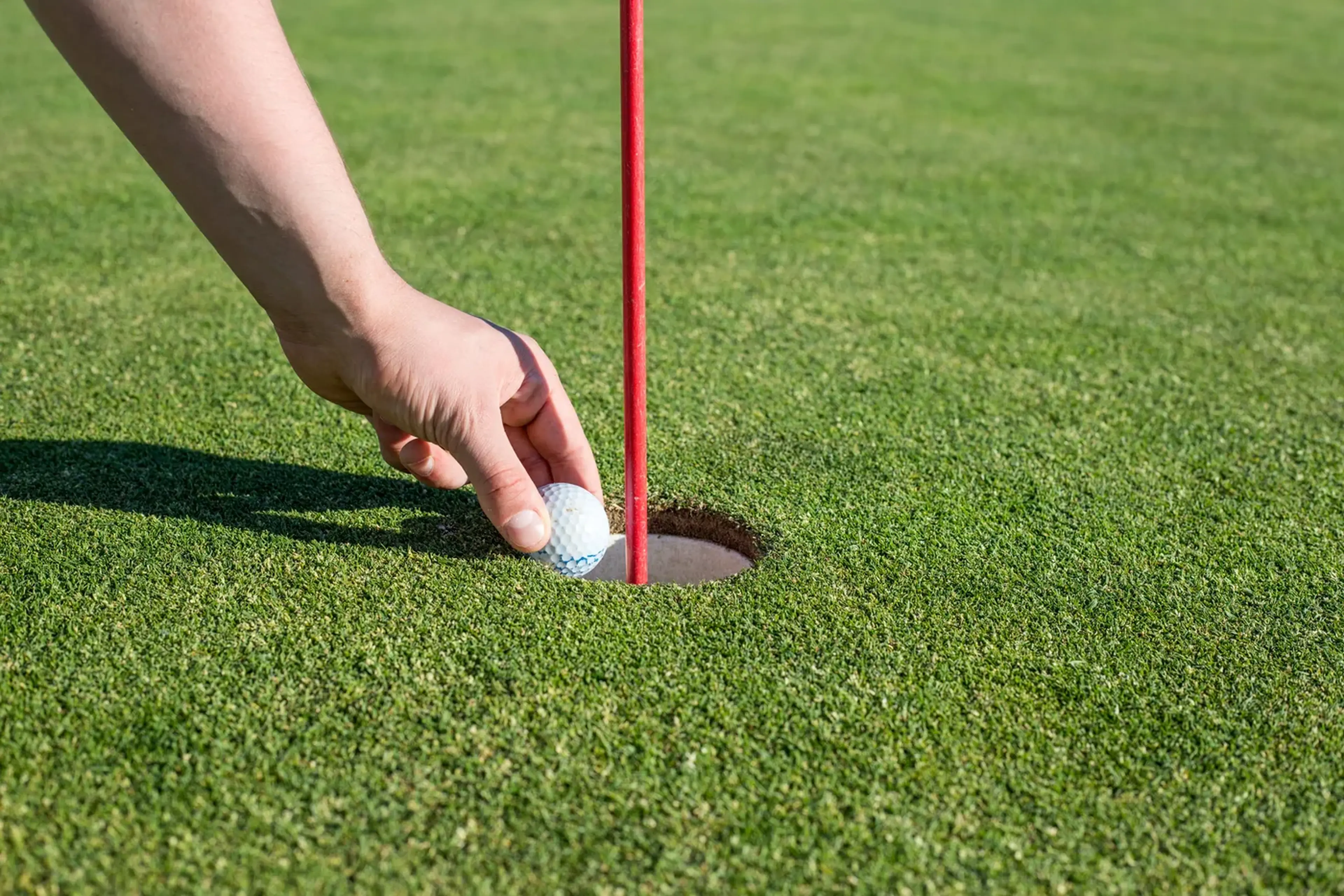 A hand lifting a golf ball out of the cup
