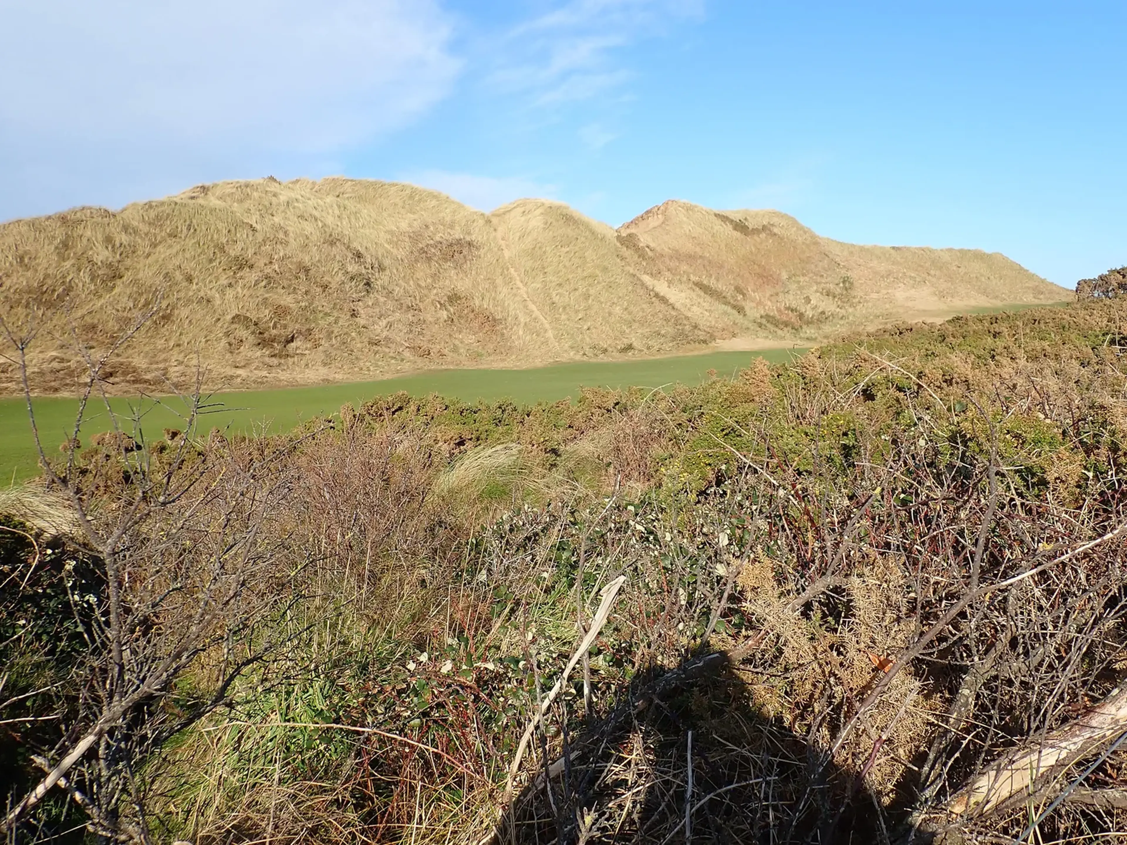 Dunes and rough on a links course in Northern Ireland