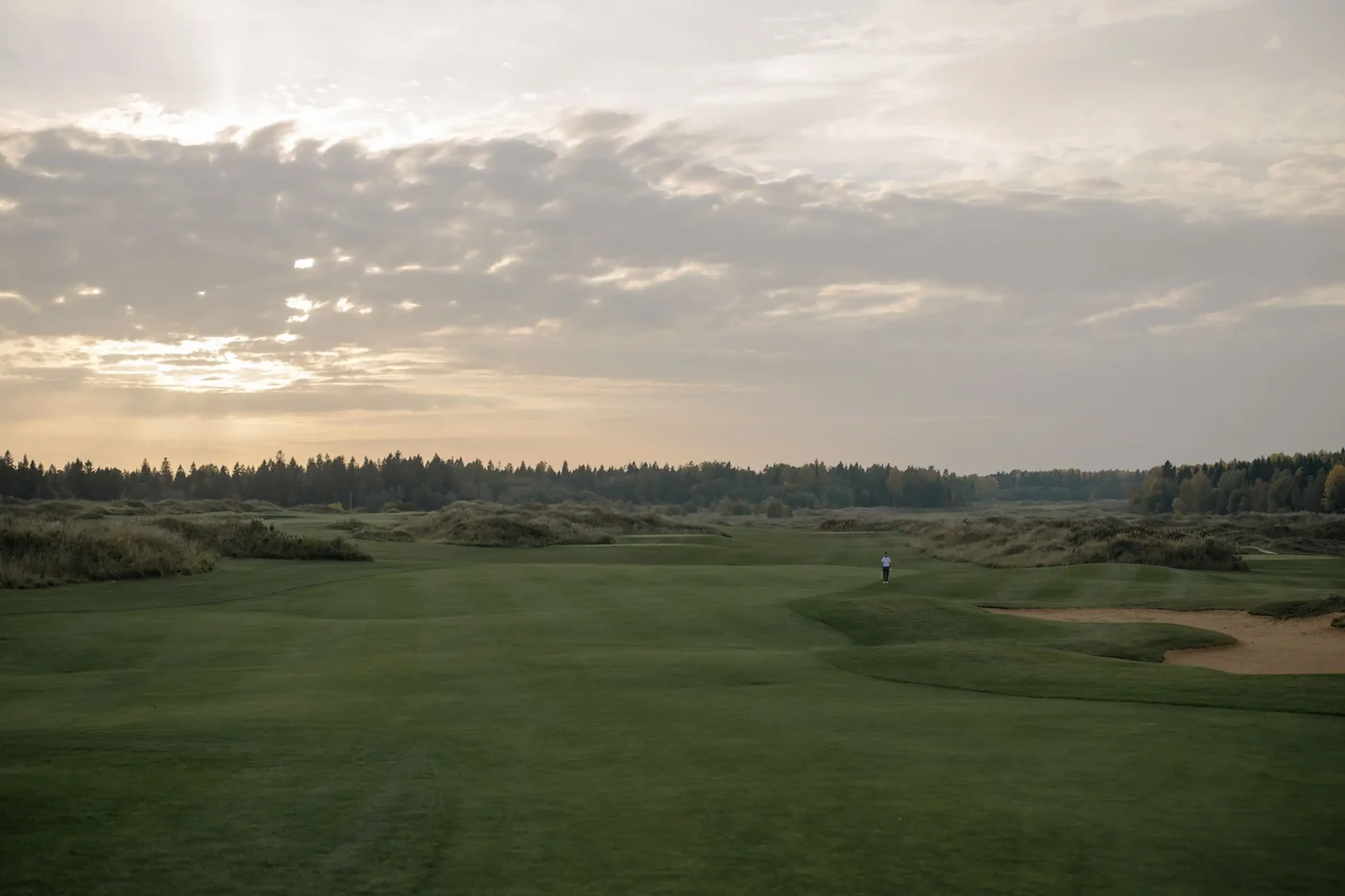 An empty links fairway at dawn