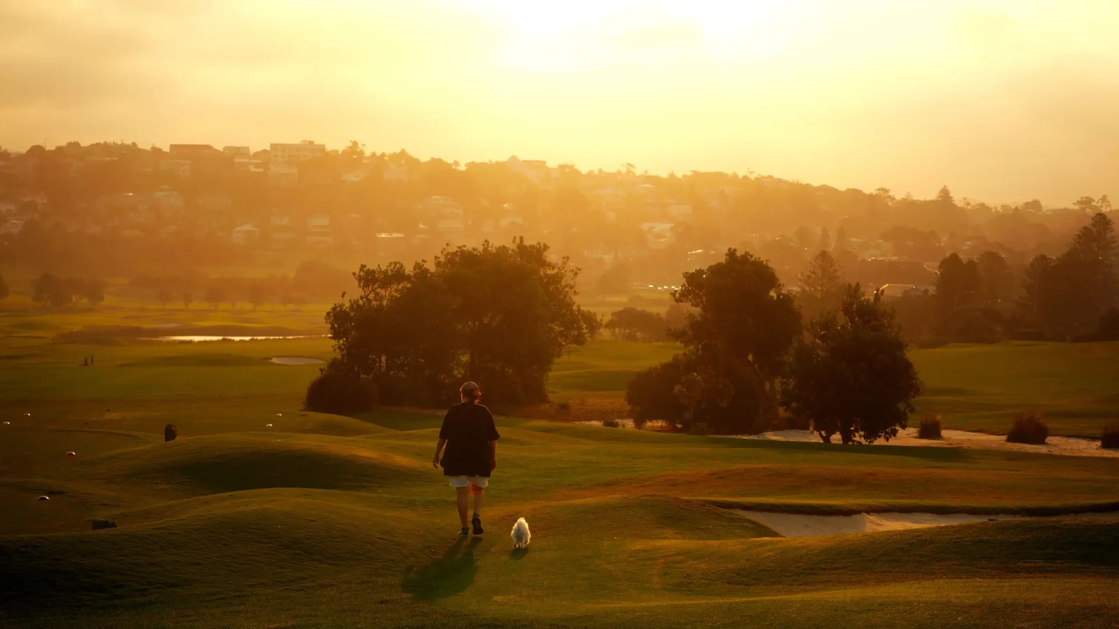 20+ Best Gifts for Golfers Who Have Everything