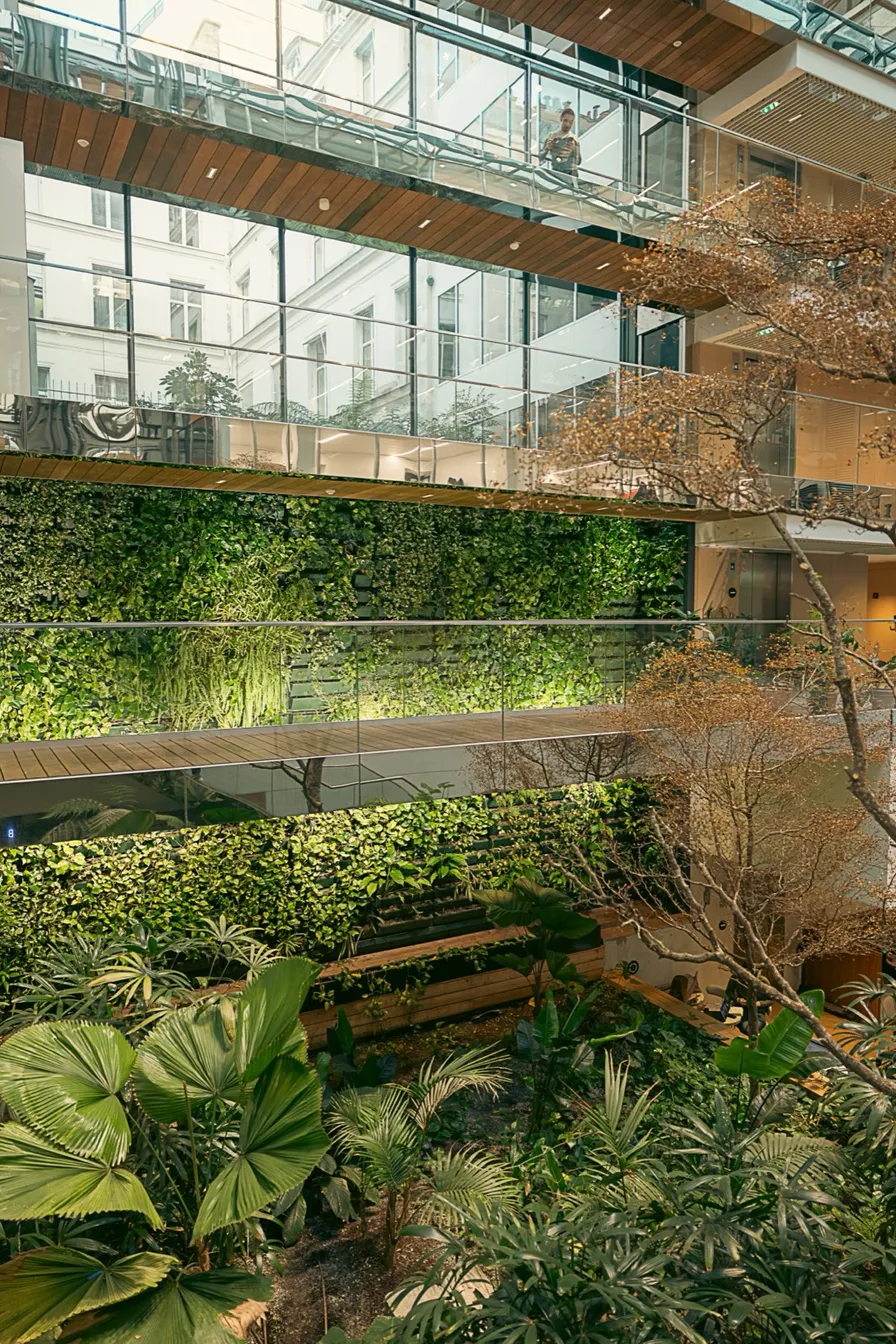 Les bureaux des Pointures au Morning Laffitte, avec des murs végétalisés.