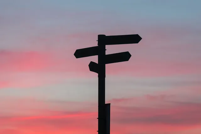 Why Individual Feedback Is Essential For Psychotherapy Students