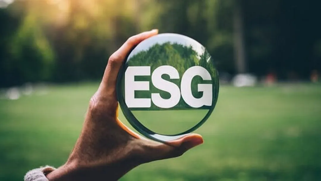 Was gehen mich als Unternehmer Nachhaltigkeit und ESG an?