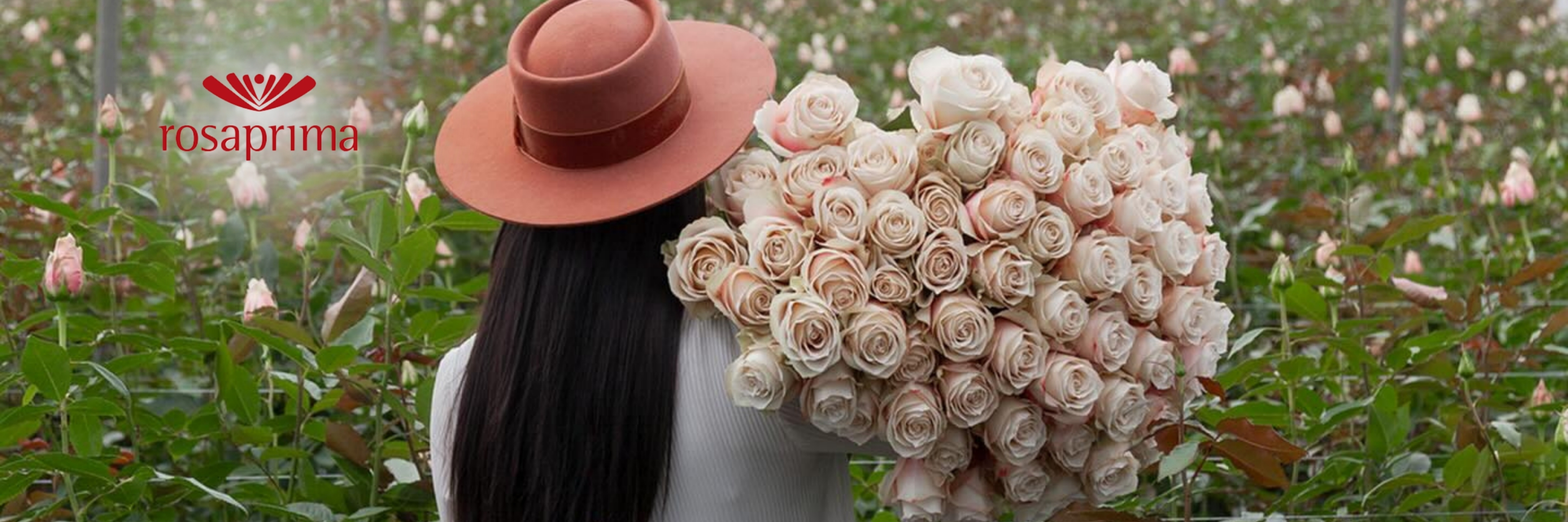 RosaPrima farm flowers