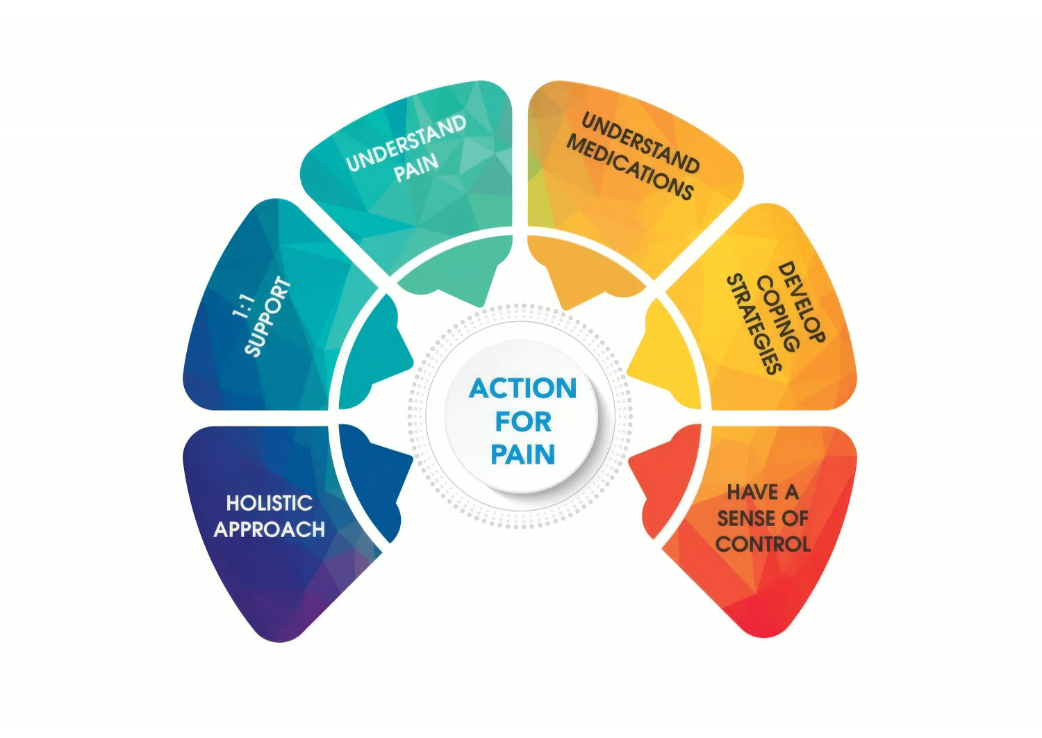 Colour-wheel diagram of the Action for Pain programme, with segments for understand pain, understand medications, develop coping strategies, have a sense of control, holistic approach and 1:1 support