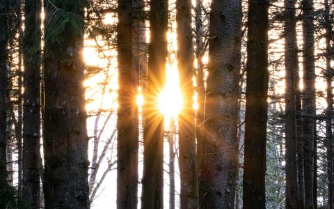 Inside PLAN8T: turning regulatory complexity into investable clarity