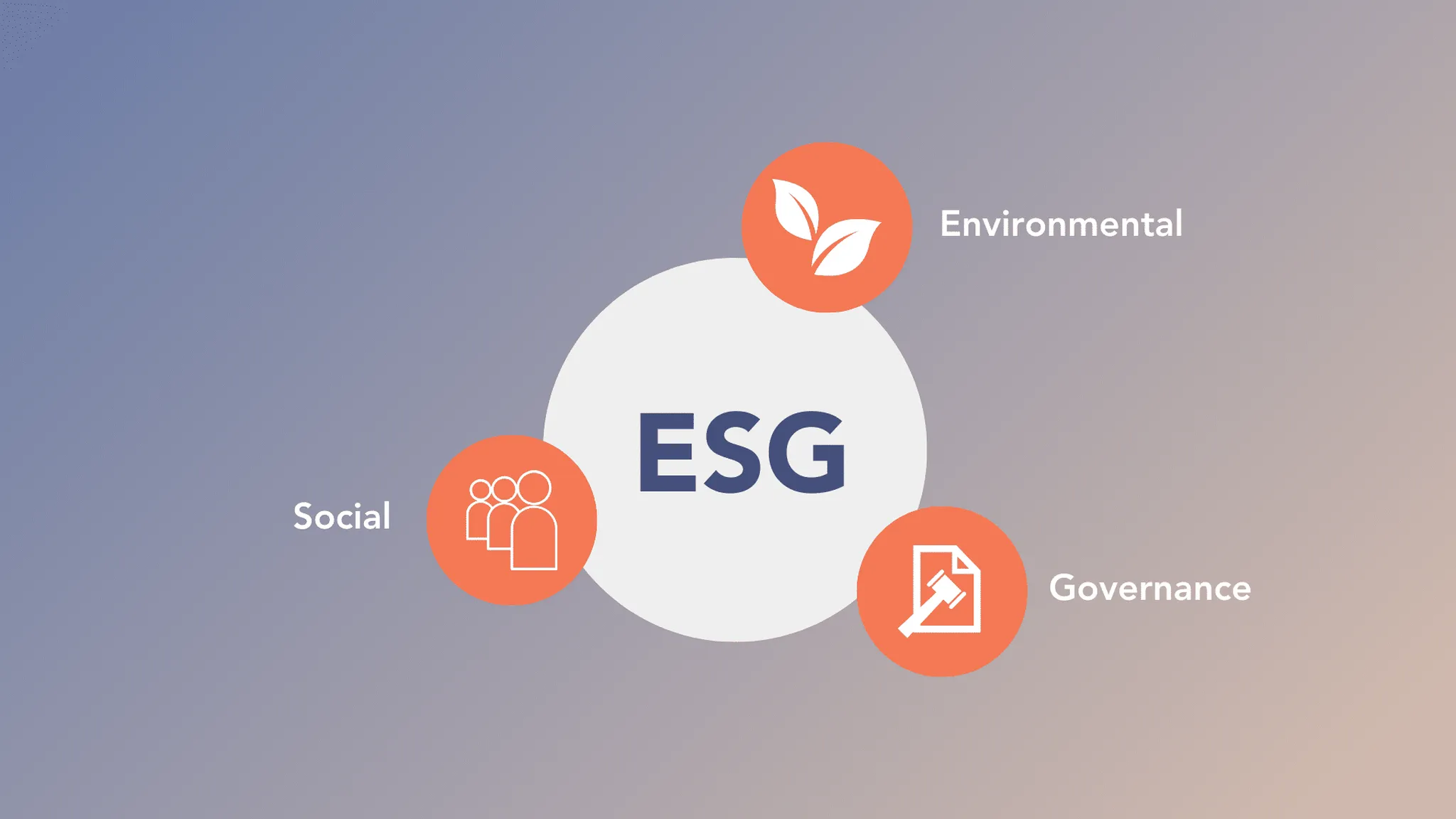 Integrating Environmental and Social Factors into Risk Management: A Reflection on Current Status