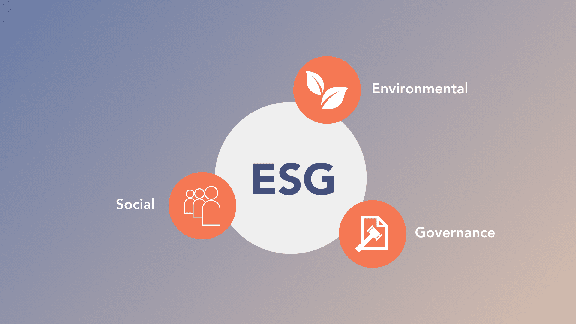 Integrating Environmental and Social Factors into Risk Management: A Reflection on Current Status
