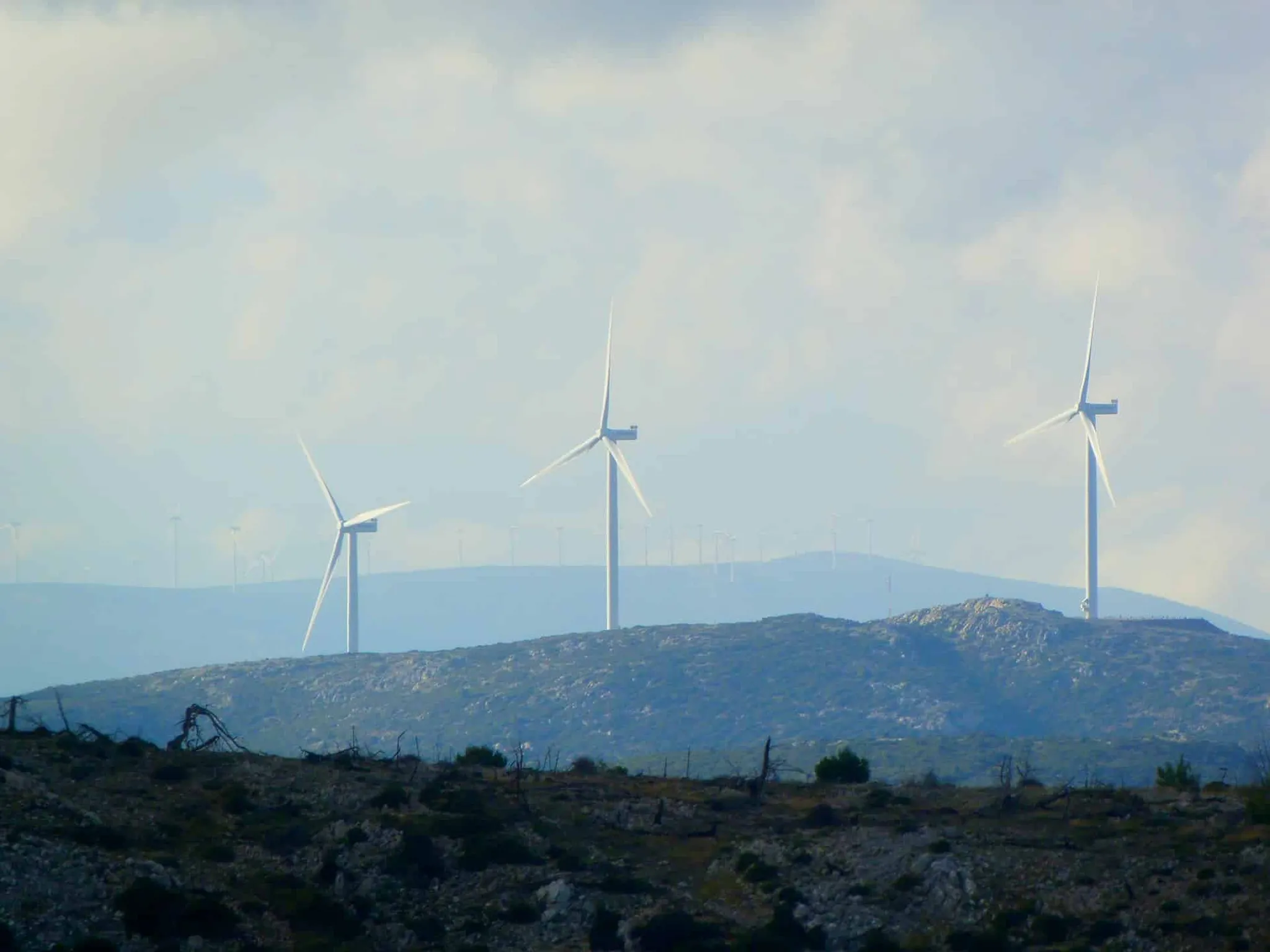 Why embedding ESG into probability of default models is good for banks and the planet