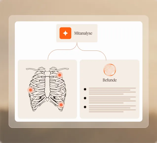 Schematische Darstellung von KI-Mitanalyse und Befundhinweisen