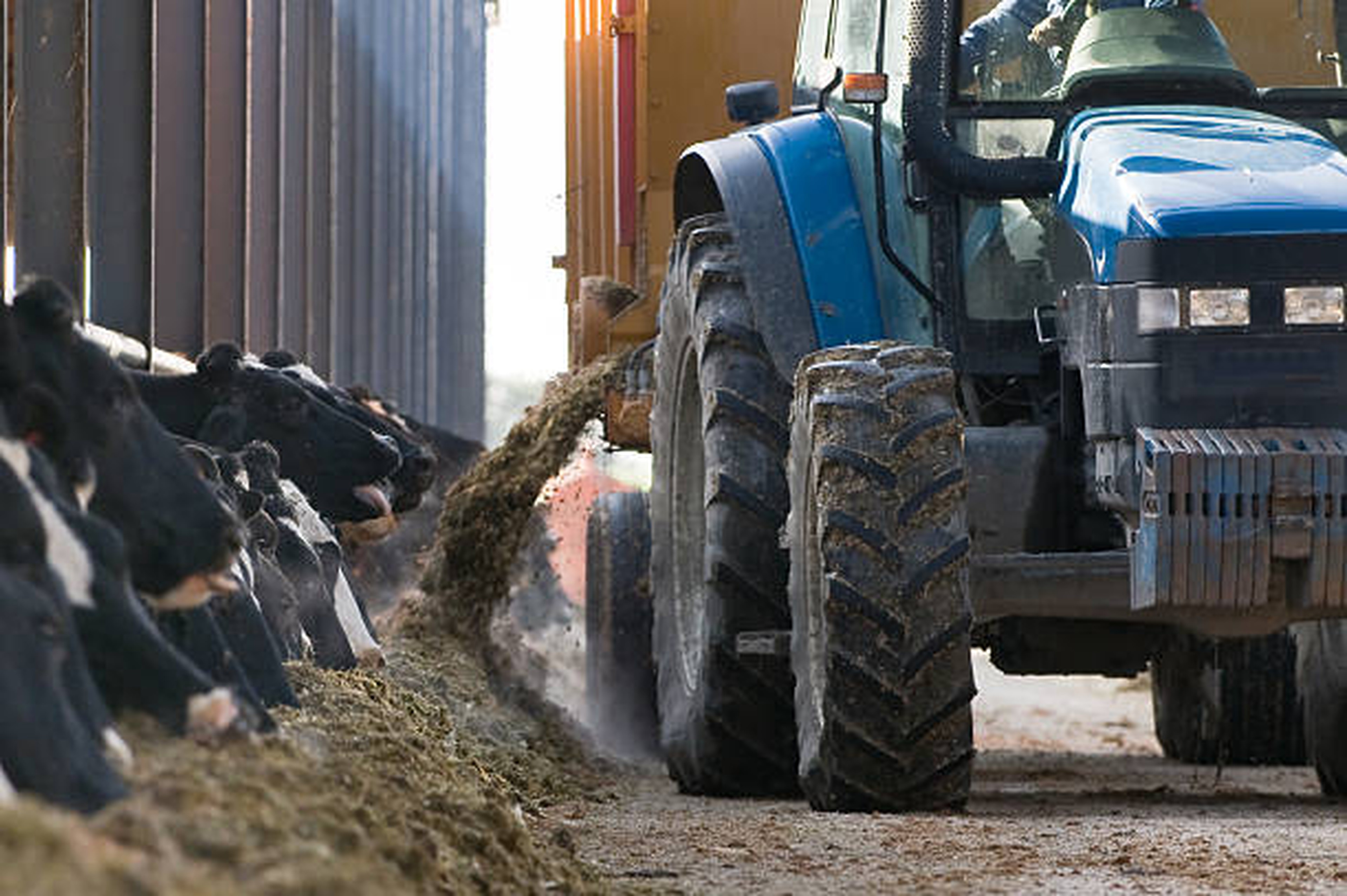 Nourriture en vrac pour animaux