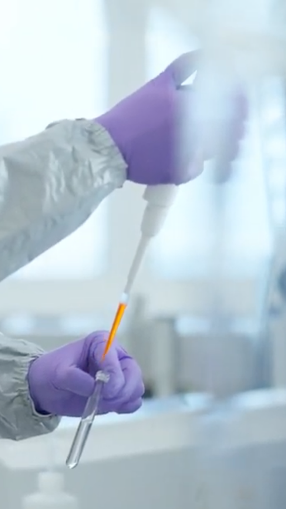 Hand in violettem Handschuh füllt mit einer Pipette orange Flüssigkeit in ein Reagenzglas