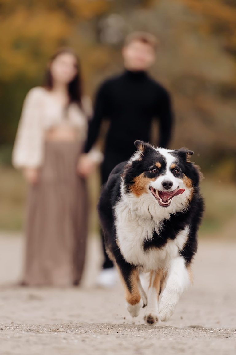 Hund rennt auf ein Paar am Strand zu