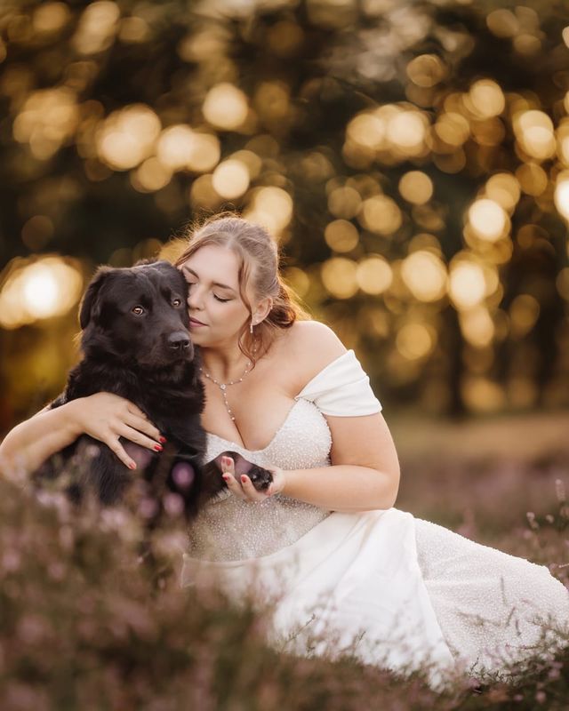 Frau im Brautkleid schmiegt sich in der Heide an ihren großen schwarzen Hund