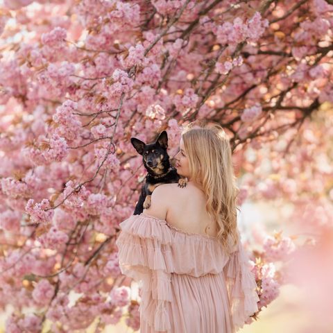 Frau mit Hund unter Kirschblüten
