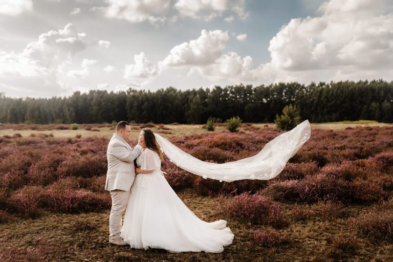 Brautpaar in blühender Heide, der lange Schleier weht im Wind