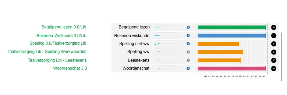 Overzicht Cito leerling in beeld toetsen