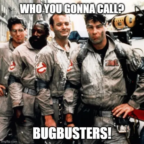 team agile hybrid team bugbusters meme